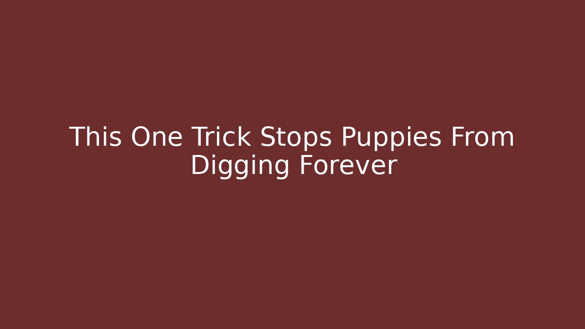 This One Trick Stops Puppies From Digging Forever