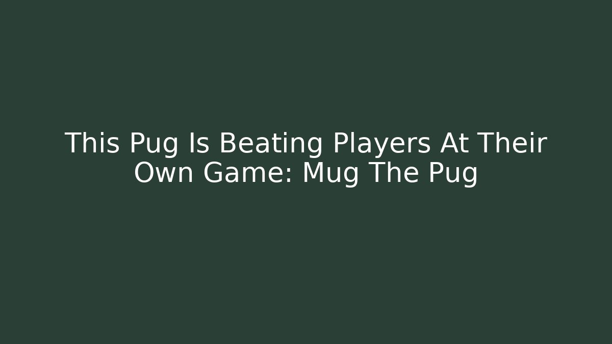 This Pug Is Beating Players At Their Own Game: Mug The Pug