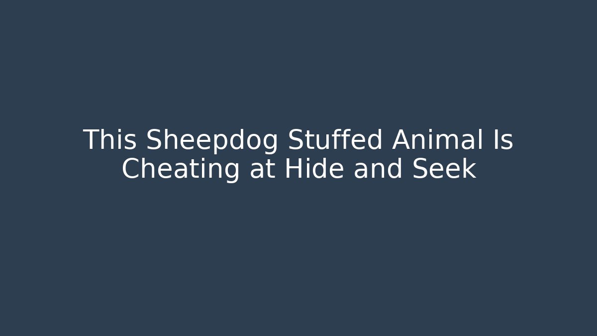 This Sheepdog Stuffed Animal Is Cheating at Hide and Seek