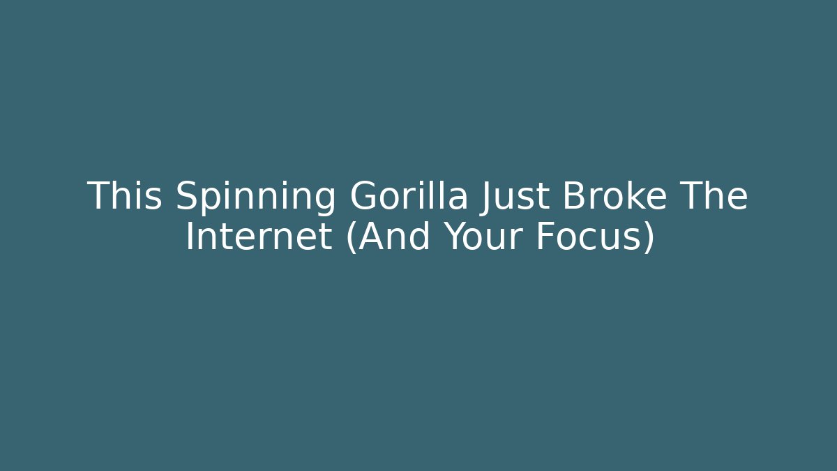 This Spinning Gorilla Just Broke The Internet (And Your Focus)