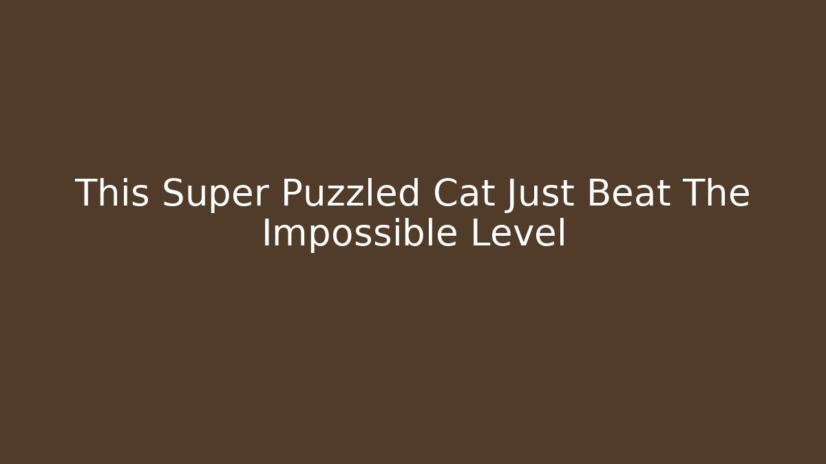 This Super Puzzled Cat Just Beat The Impossible Level