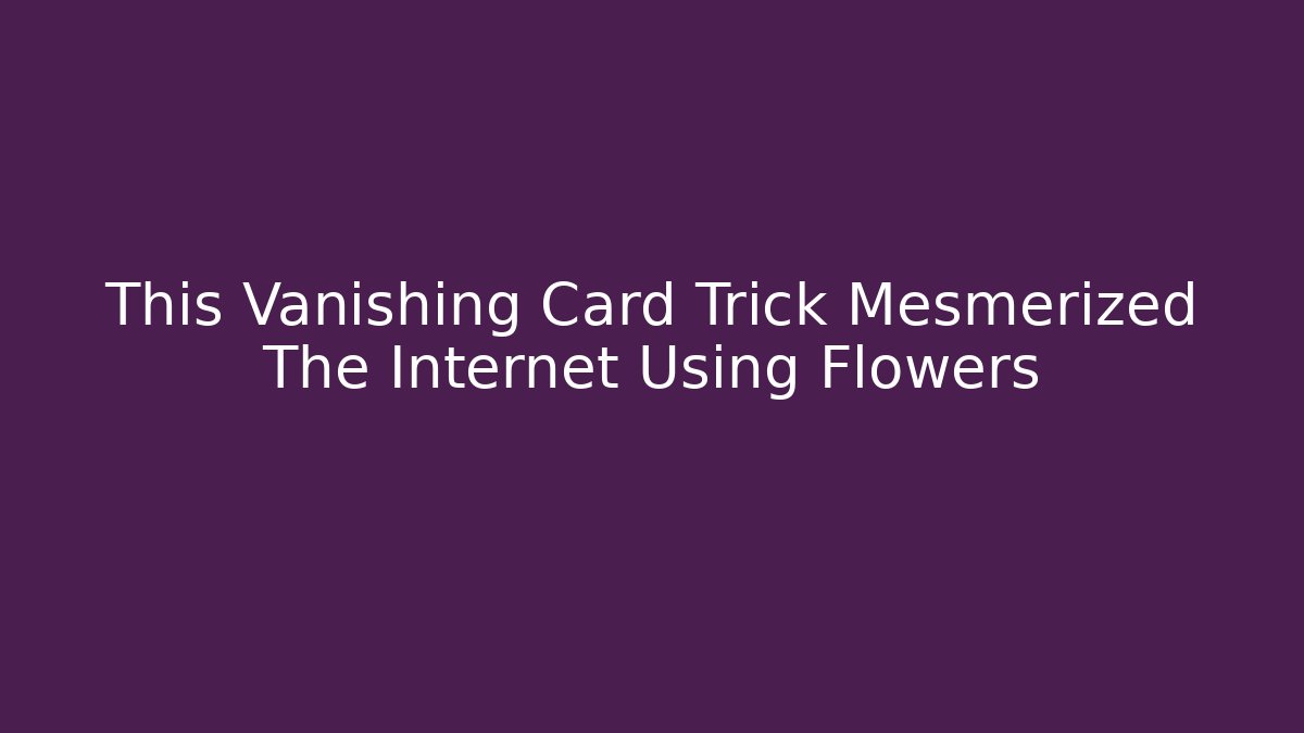 This Vanishing Card Trick Mesmerized The Internet Using Flowers - Create More Assets