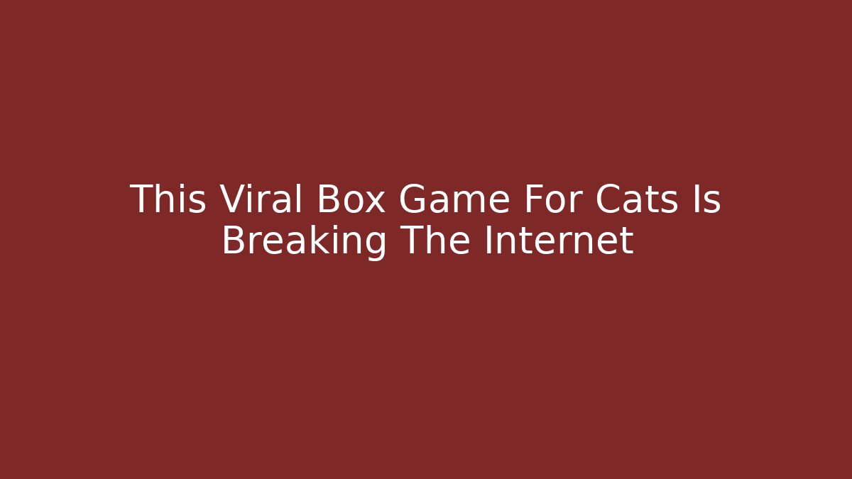 This Viral Box Game For Cats Is Breaking The Internet