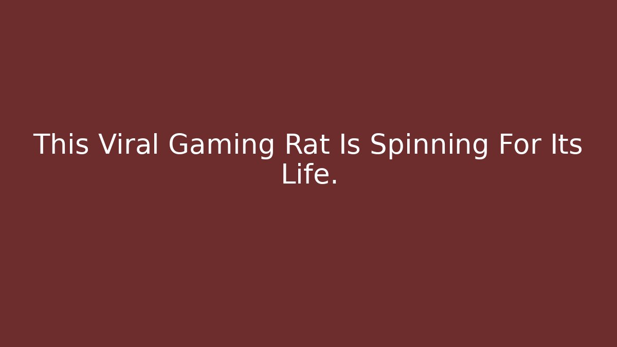 This Viral Gaming Rat Is Spinning For Its Life.