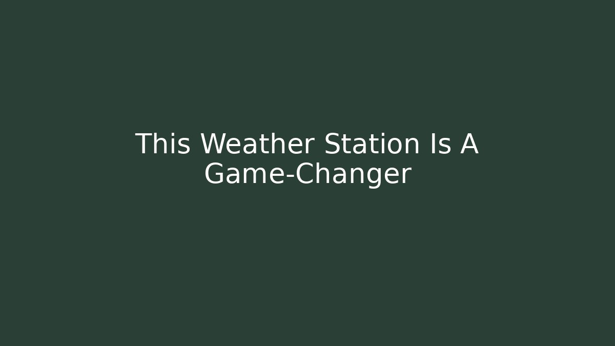 This Weather Station Is A Game-Changer