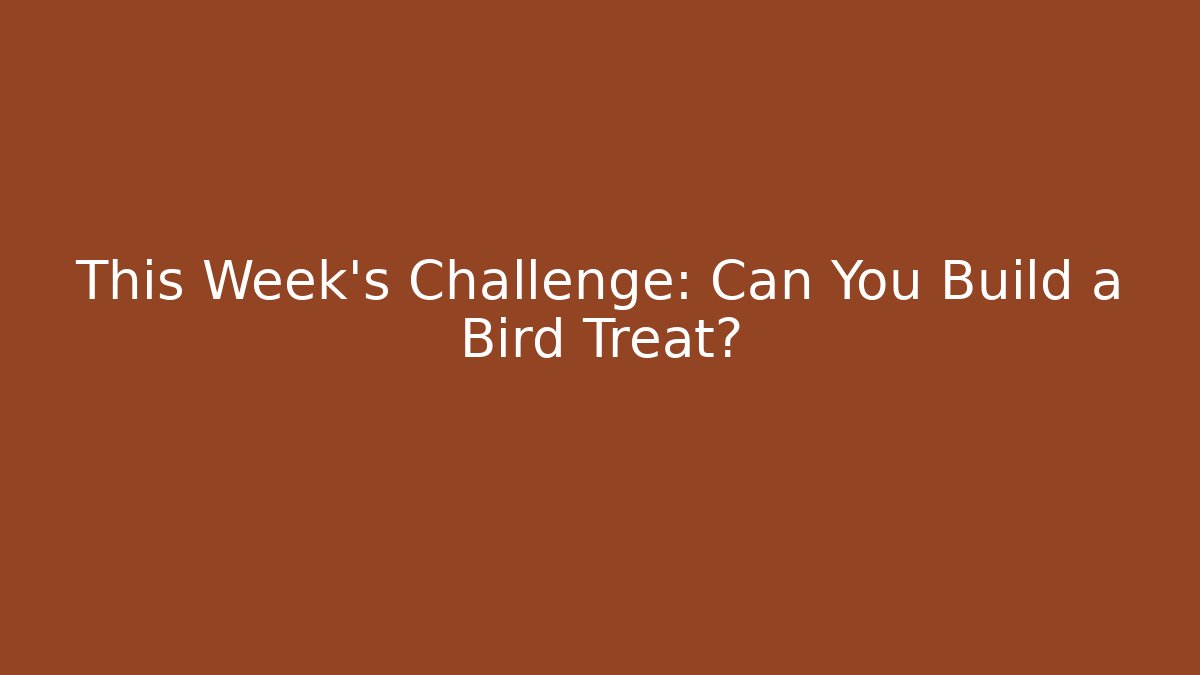 This Week’s Challenge: Can You Build a Bird Treat?