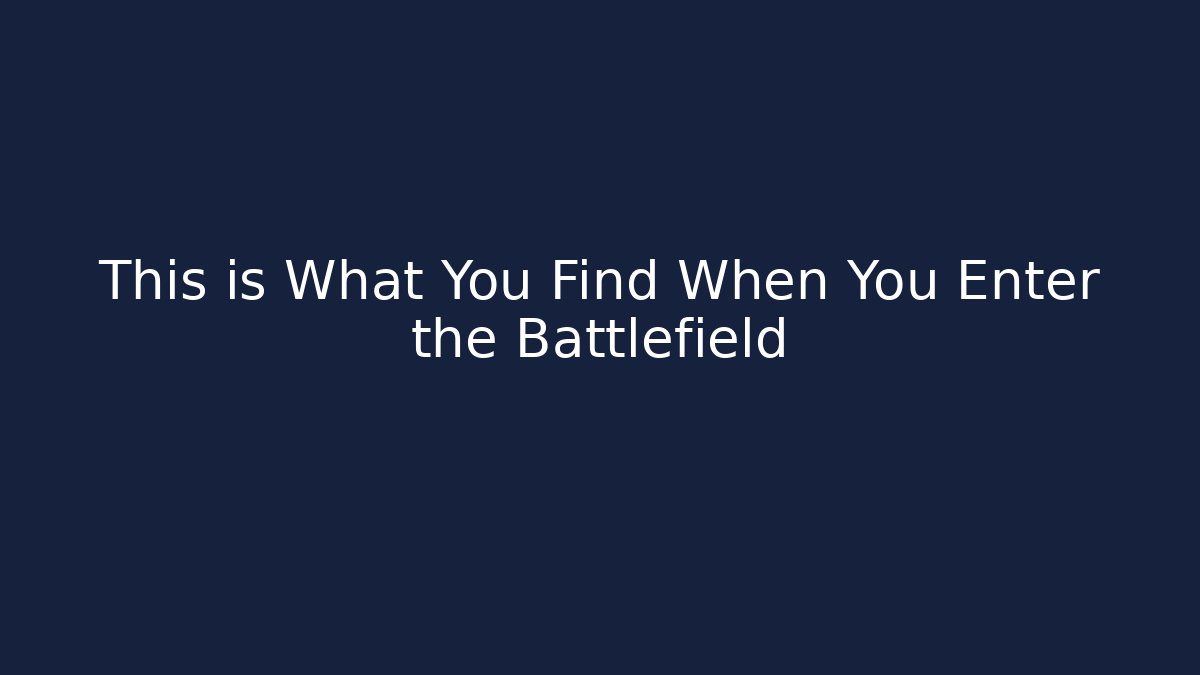 This is What You Find When You Enter the Battlefield