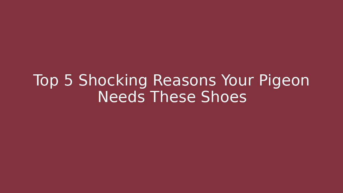 Top 5 Shocking Reasons Your Pigeon Needs These Shoes