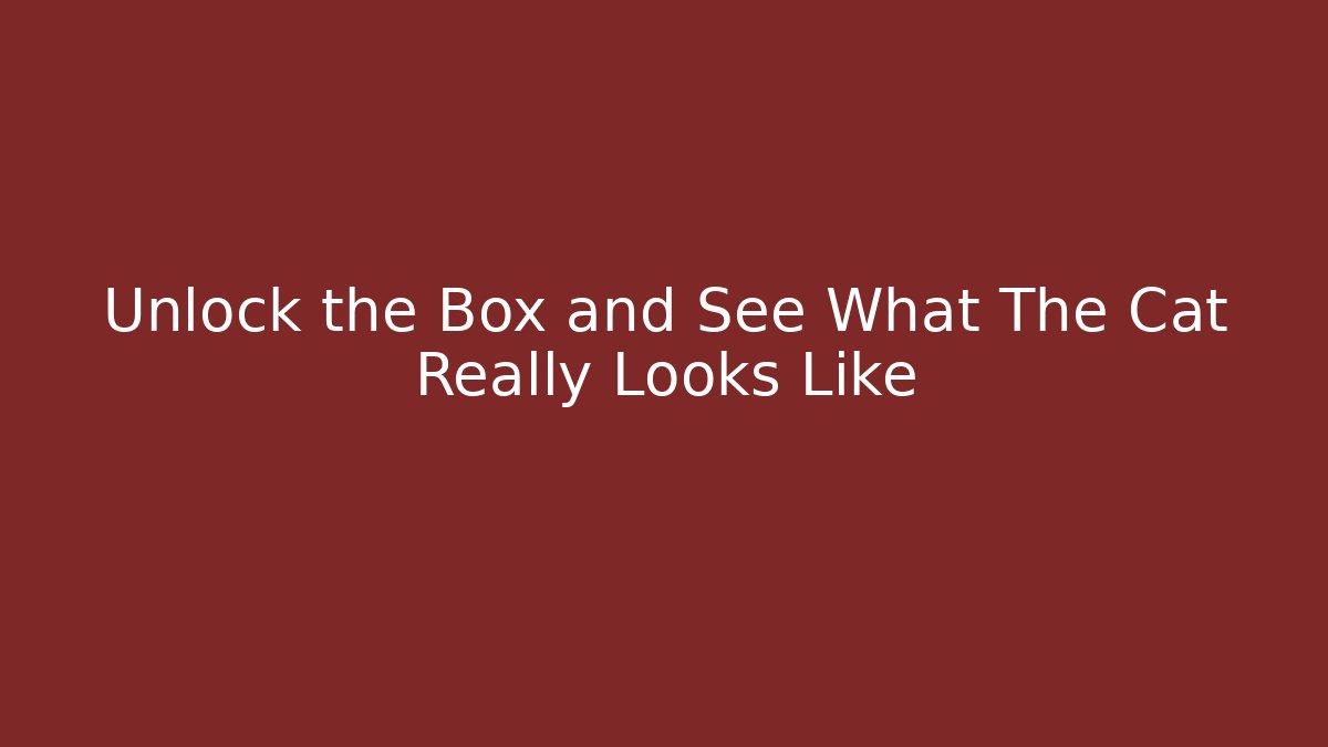 Unlock the Box and See What The Cat Really Looks Like