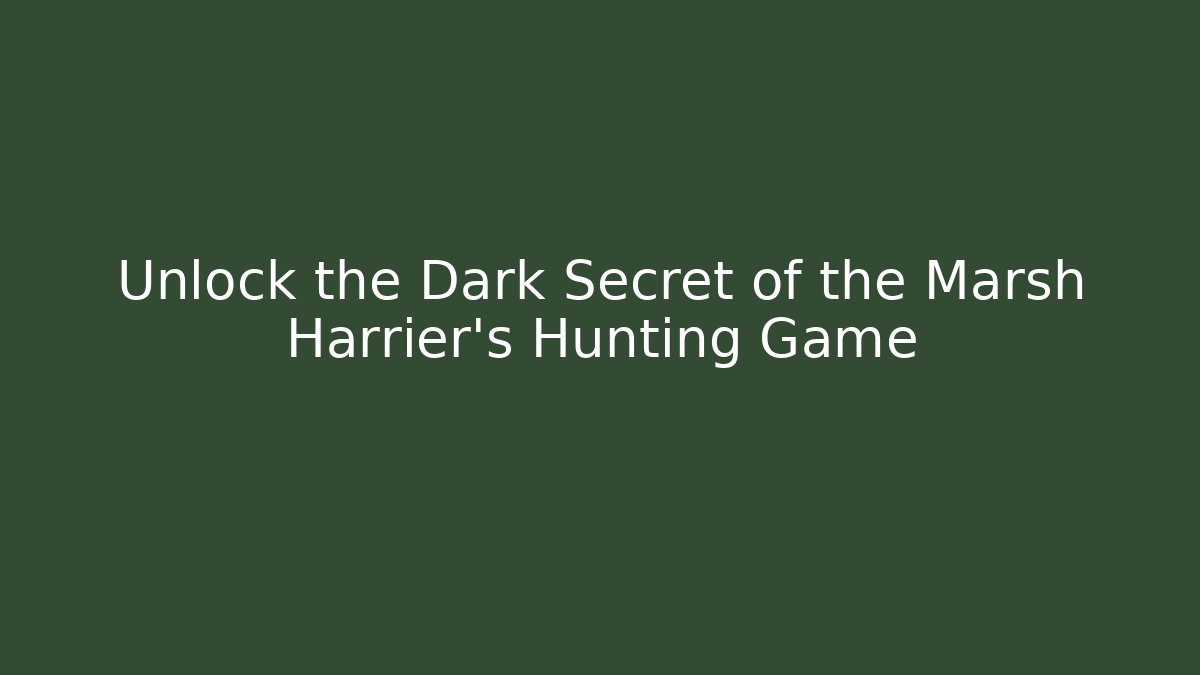 Unlock the Dark Secret of the Marsh Harrier's Hunting Game