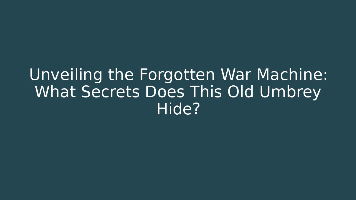 Unveiling the Forgotten War Machine: What Secrets Does This Old Umbrey Hide?