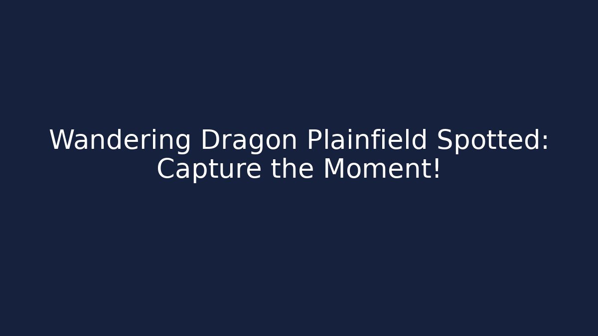 Wandering Dragon Plainfield Spotted: Capture the Moment!