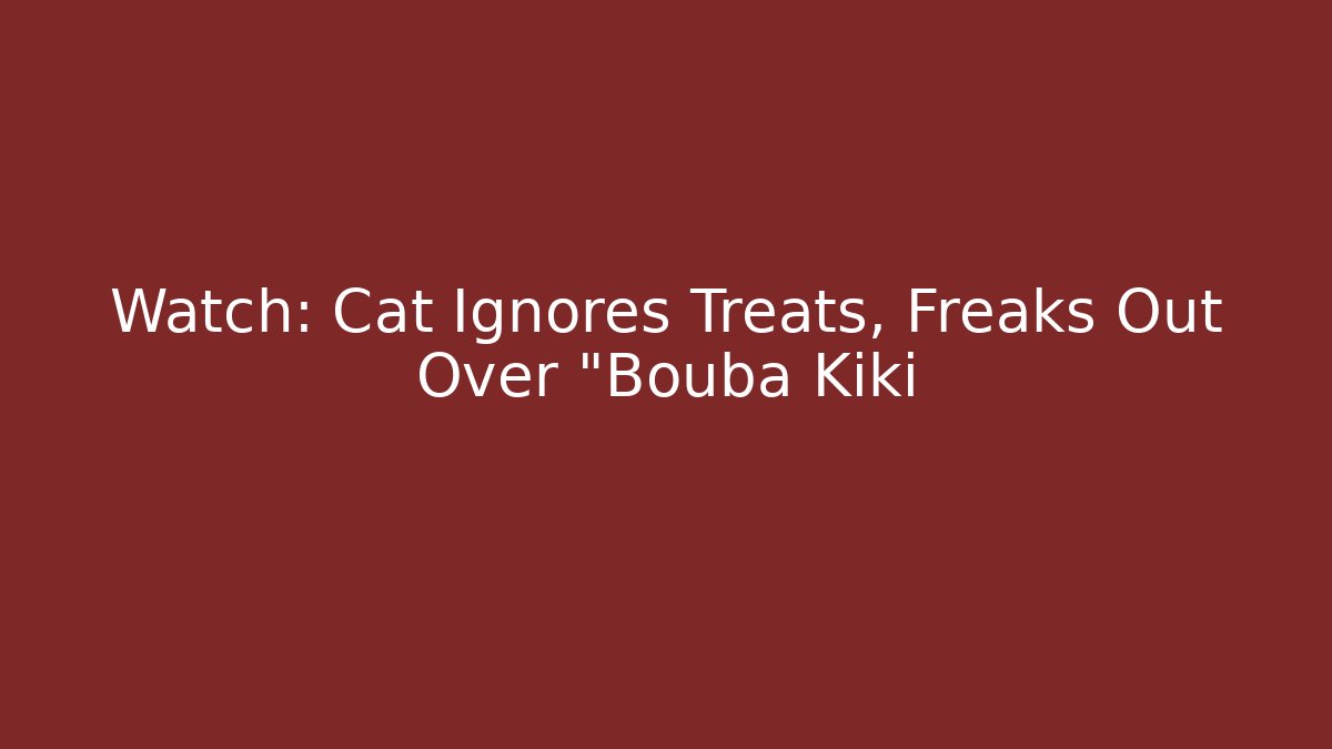 Watch: Cat Ignores Treats, Freaks Out Over "Bouba Kiki