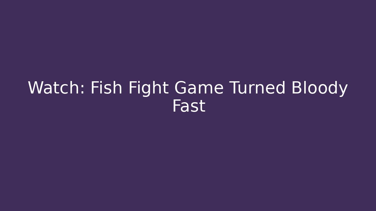 Watch: Fish Fight Game Turned Bloody Fast