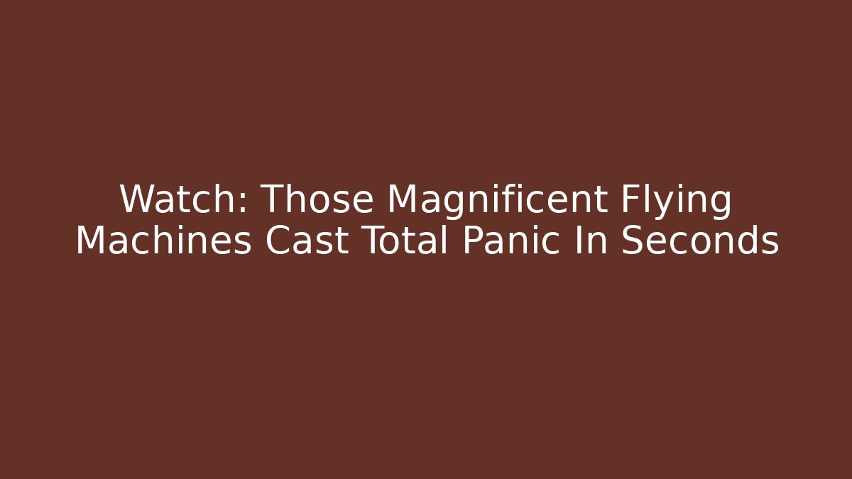 Watch: Those Magnificent Flying Machines Cast Total Panic In Seconds