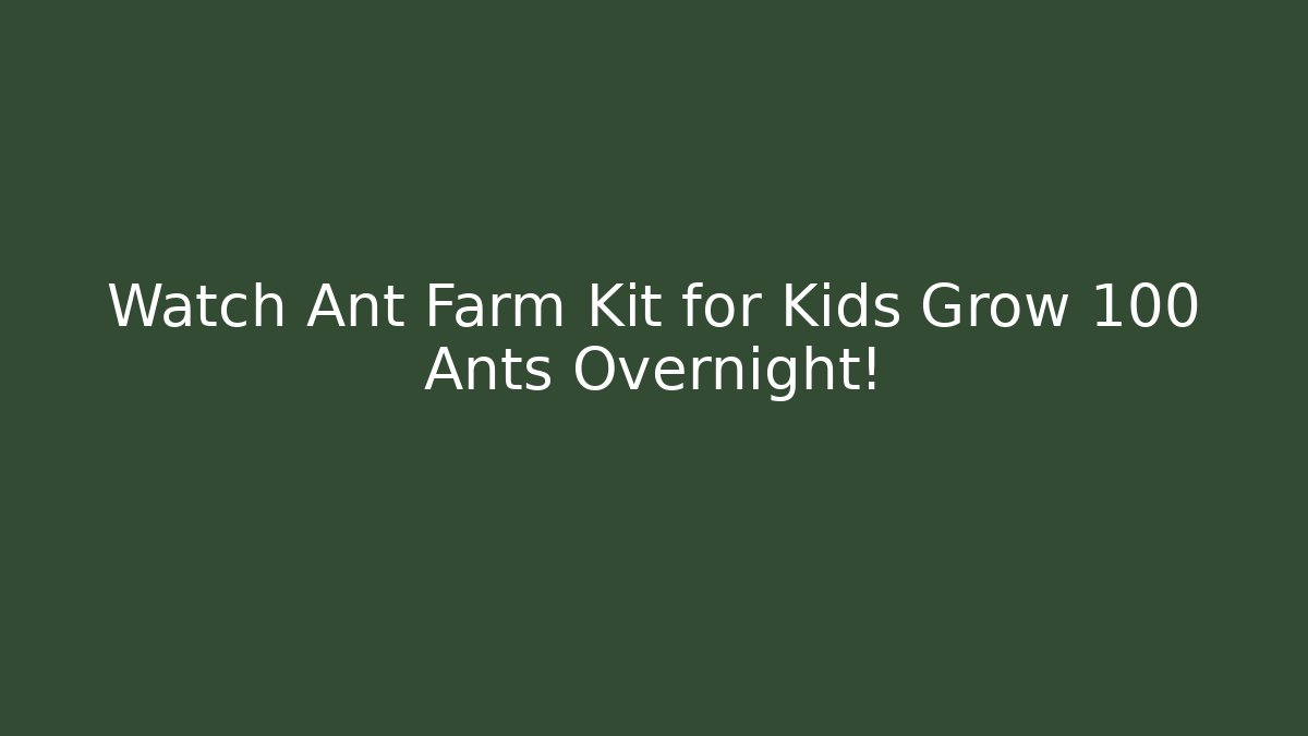 Watch Ant Farm Kit for Kids Grow 100 Ants Overnight!