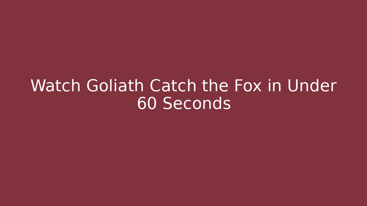 Watch Goliath Catch the Fox in Under 60 Seconds