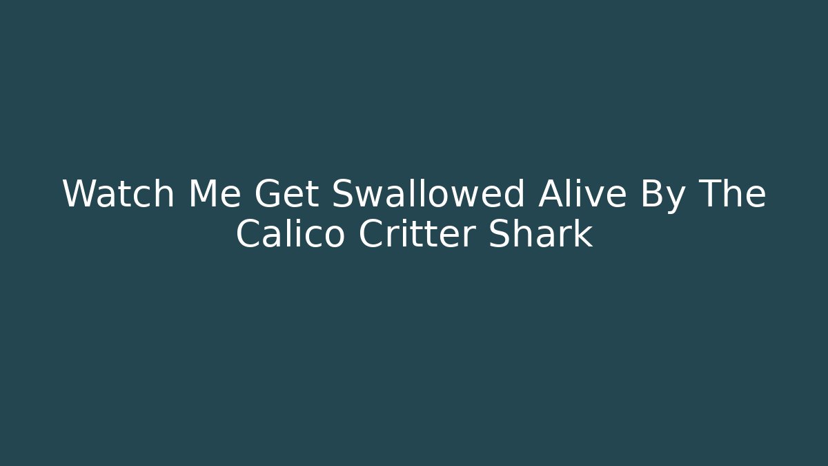 Watch Me Get Swallowed Alive By The Calico Critter Shark