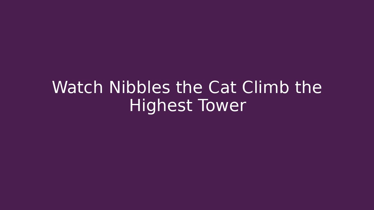 Watch Nibbles the Cat Climb the Highest Tower