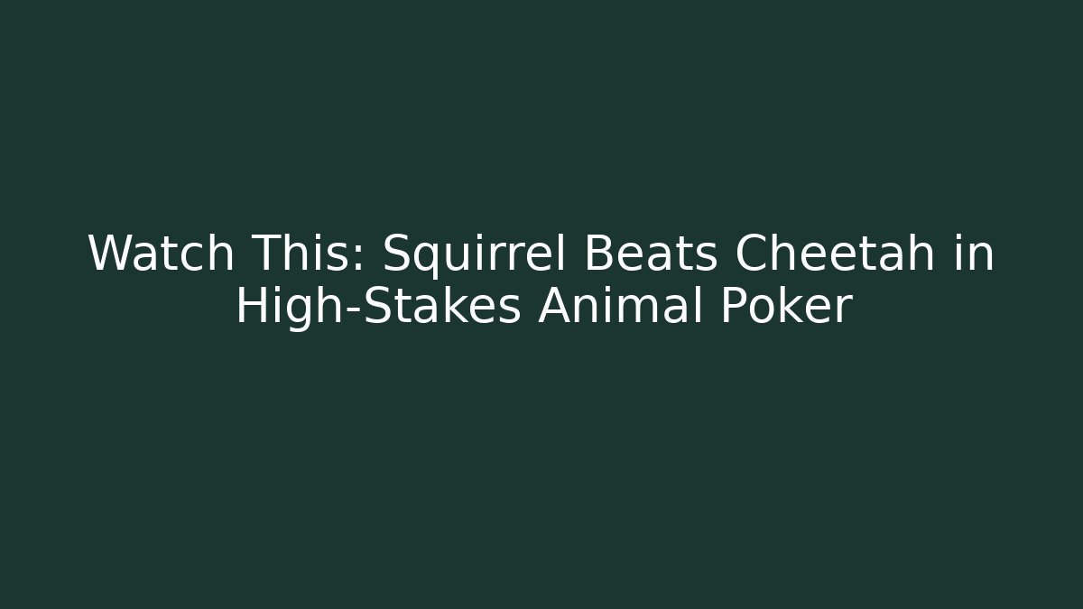 Watch This: Squirrel Beats Cheetah in High-Stakes Animal Poker