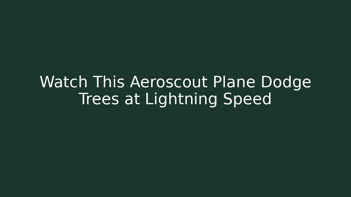Watch This Aeroscout Plane Dodge Trees at Lightning Speed