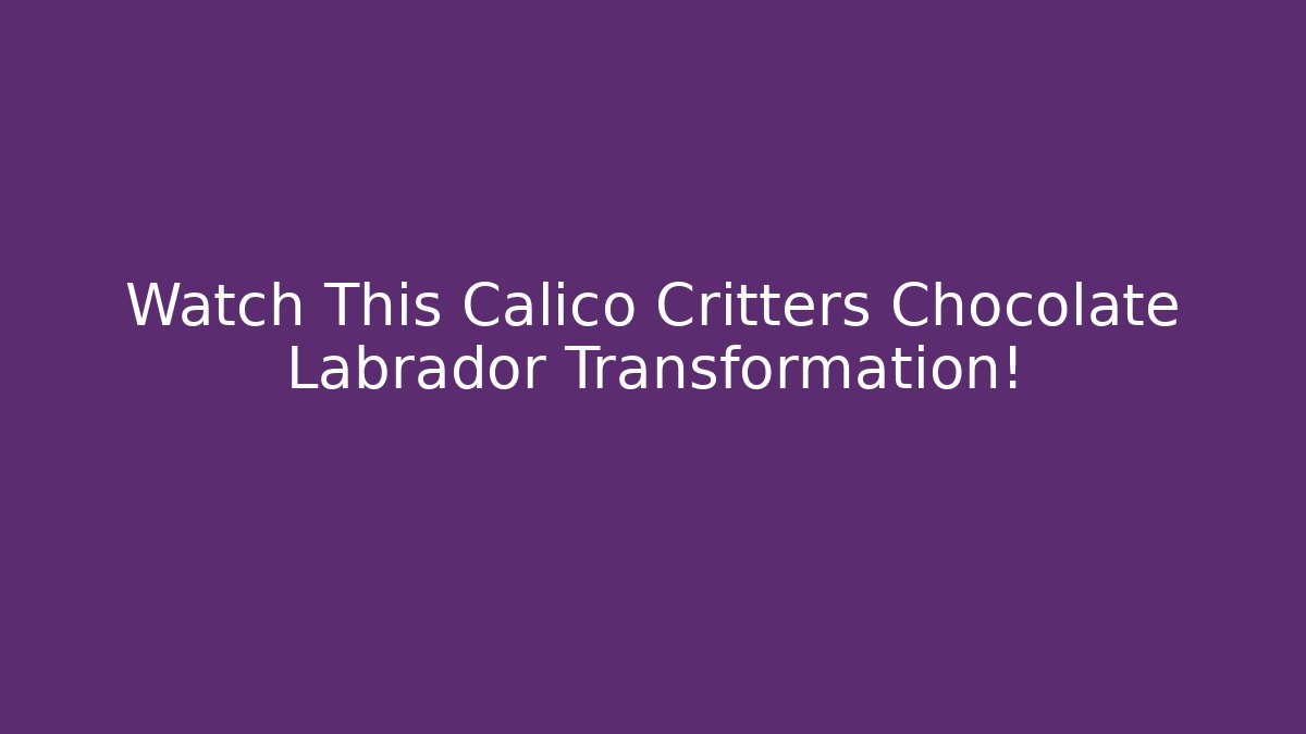 Watch This Calico Critters Chocolate Labrador Transformation!