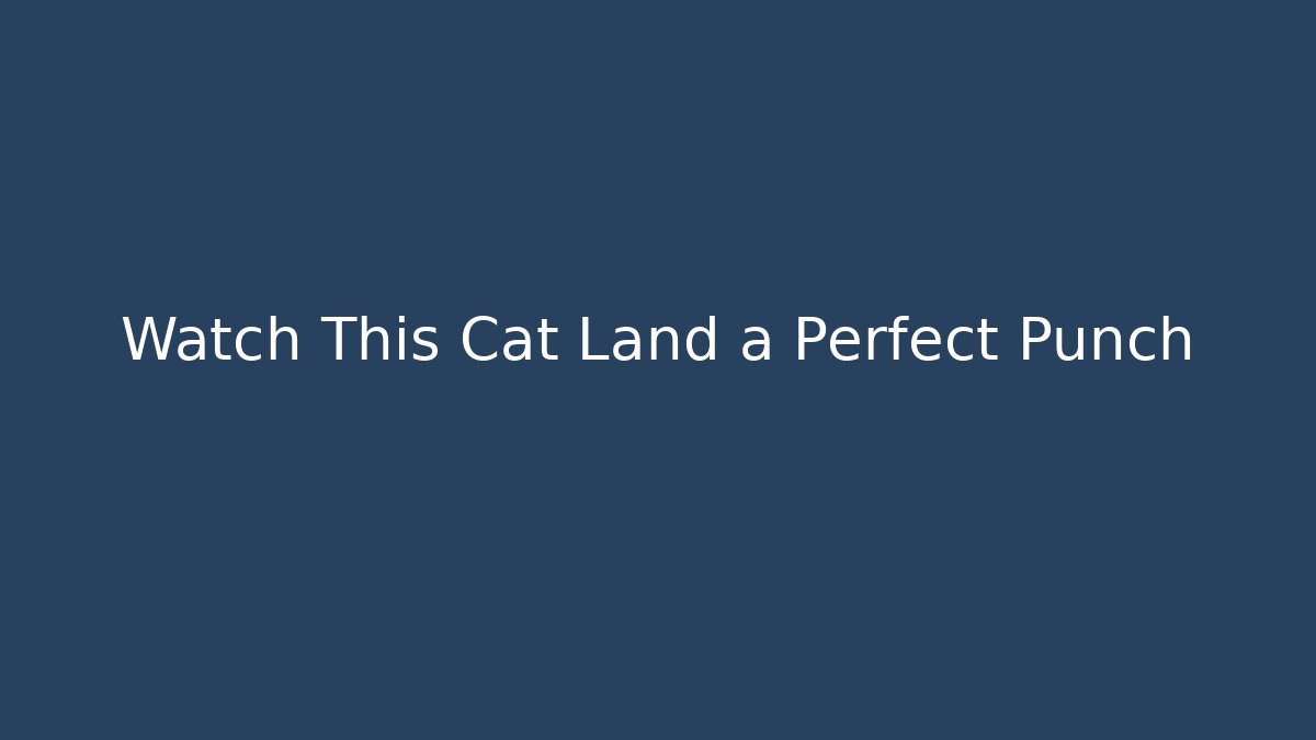 Watch This Cat Land a Perfect Punch