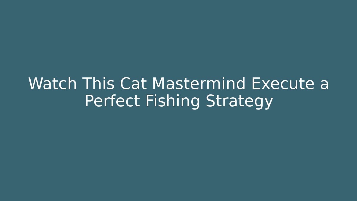 Watch This Cat Mastermind Execute a Perfect Fishing Strategy - Create More Assets