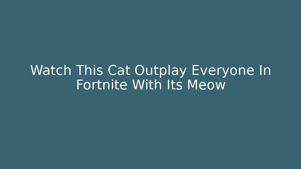 Watch This Cat Outplay Everyone In Fortnite With Its Meow