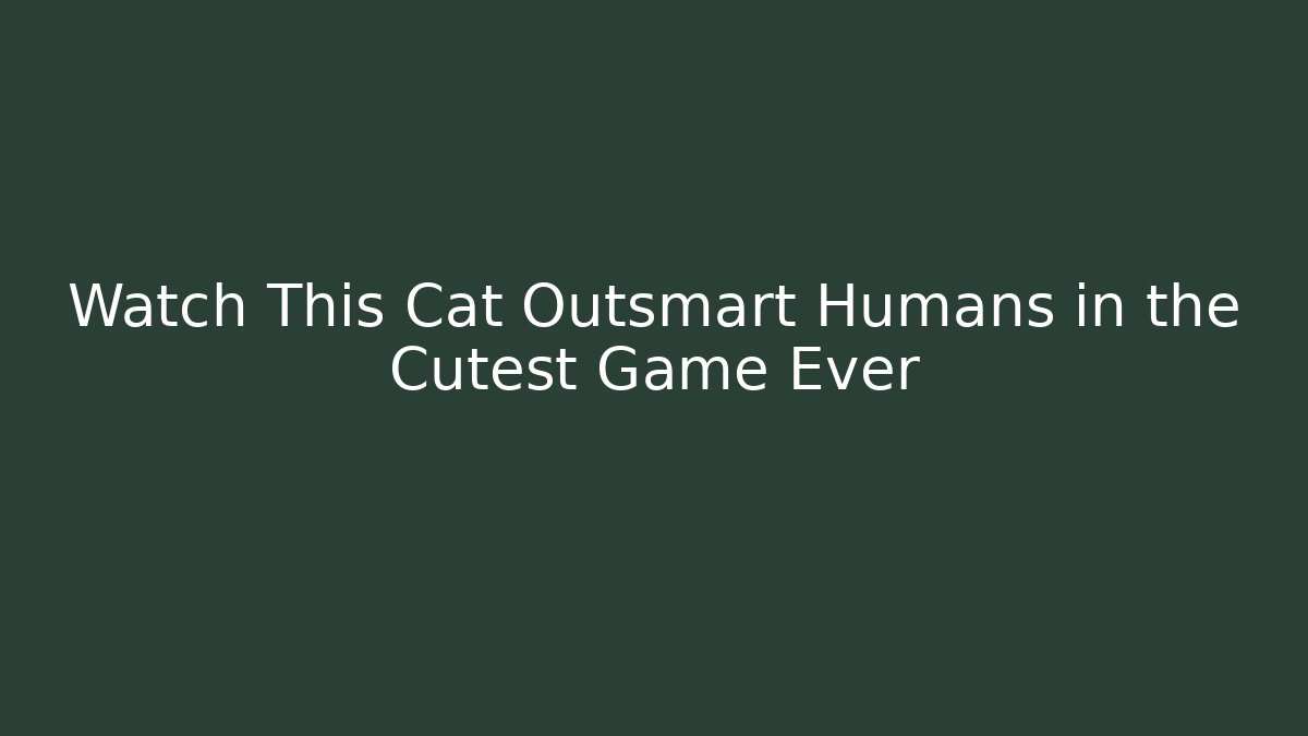 Watch This Cat Outsmart Humans in the Cutest Game Ever