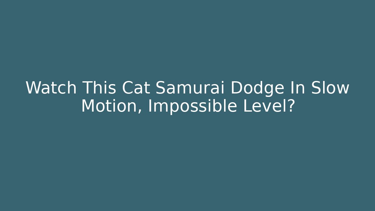 Watch This Cat Samurai Dodge In Slow Motion, Impossible Level?