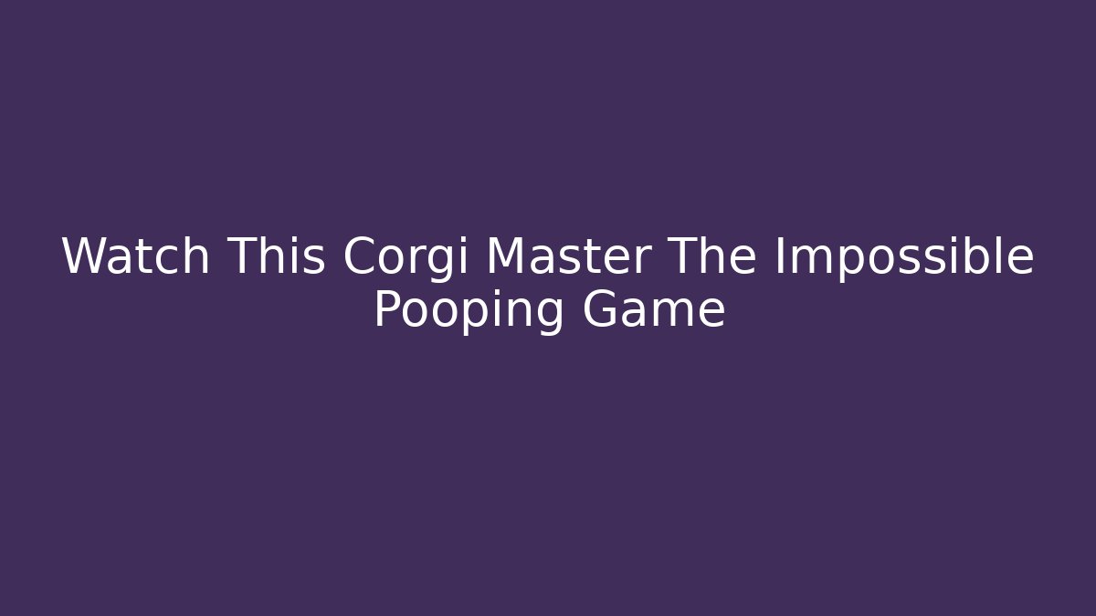 Watch This Corgi Master The Impossible Pooping Game