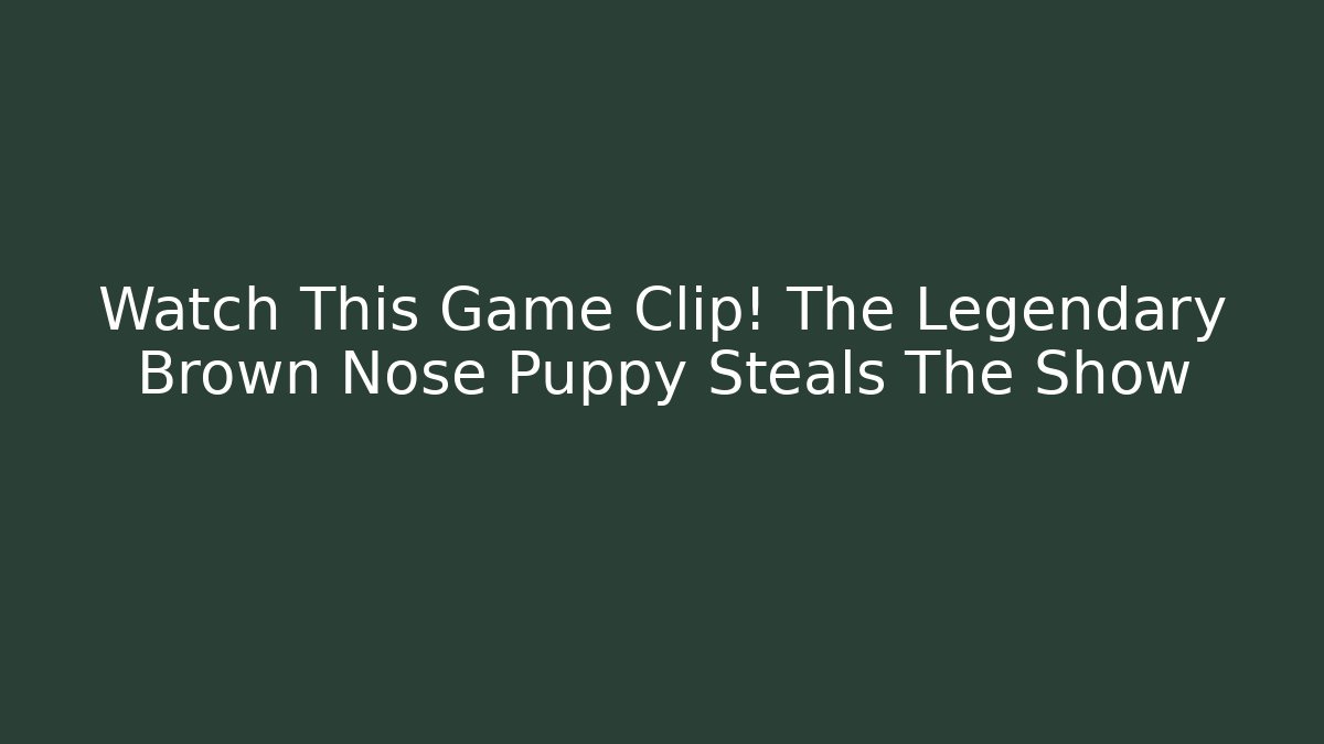 Watch This Game Clip! The Legendary Brown Nose Puppy Steals The Show