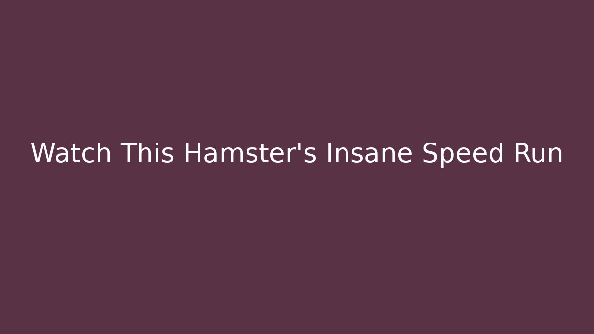 Watch This Hamster's Insane Speed Run
