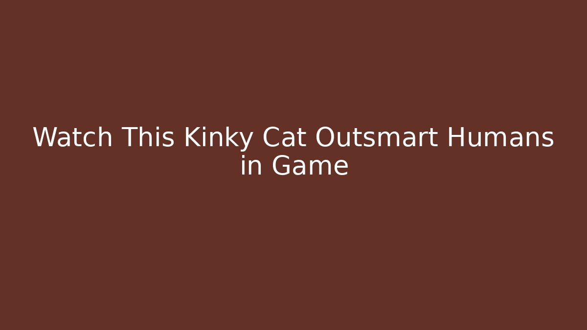 Watch This Kinky Cat Outsmart Humans in Game