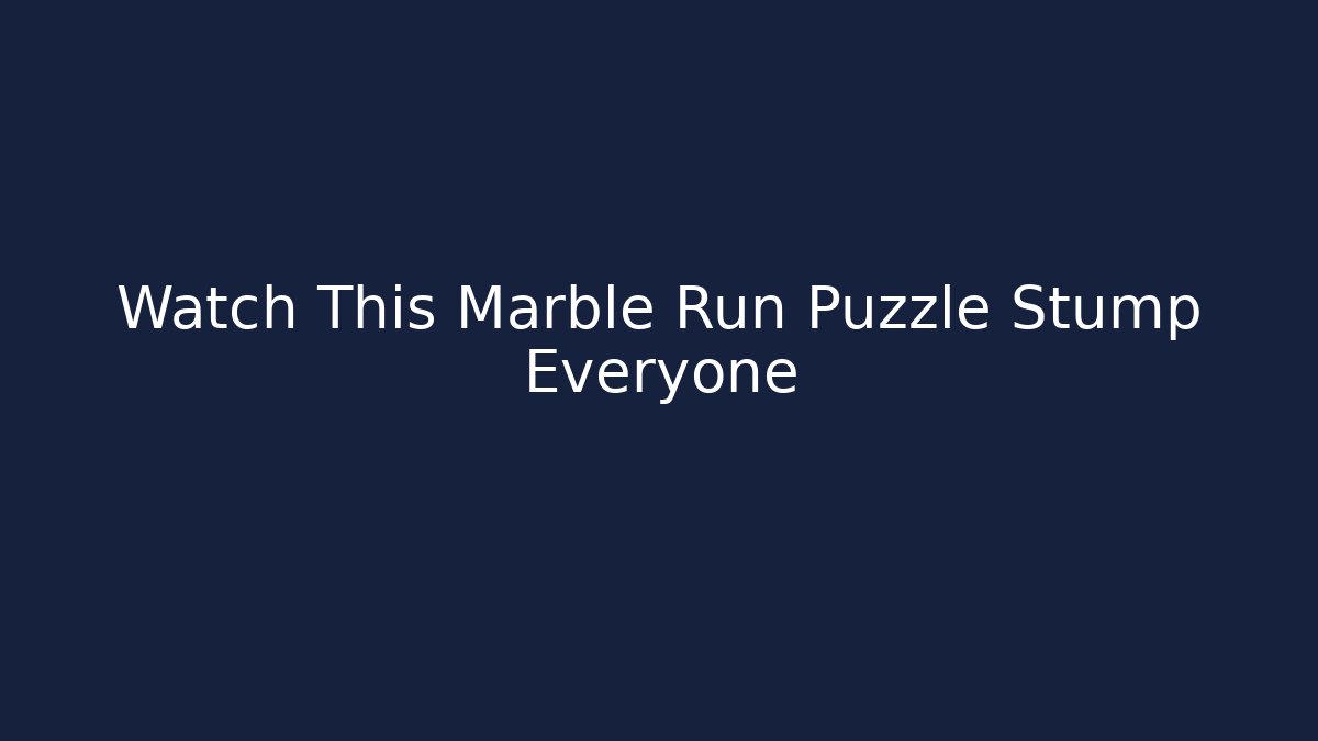 Watch This Marble Run Puzzle Stump Everyone
