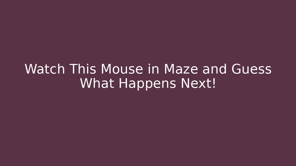 Watch This Mouse in Maze and Guess What Happens Next! - Create More Assets