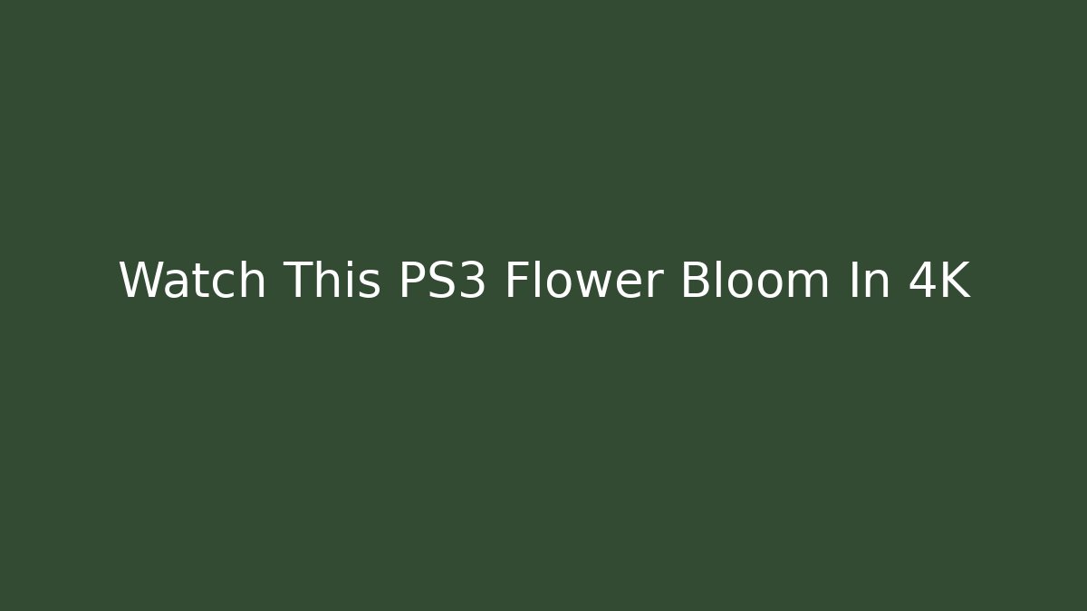 Watch This PS3 Flower Bloom In 4K - Create More Assets