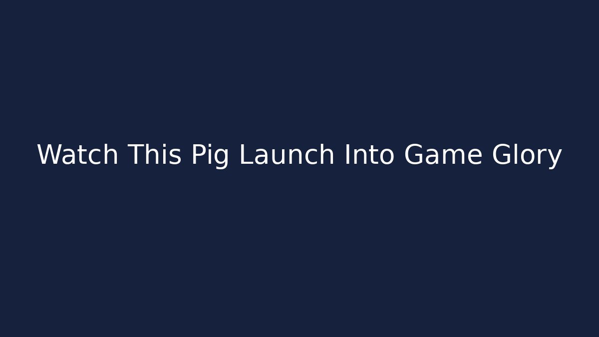 Watch This Pig Launch Into Game Glory