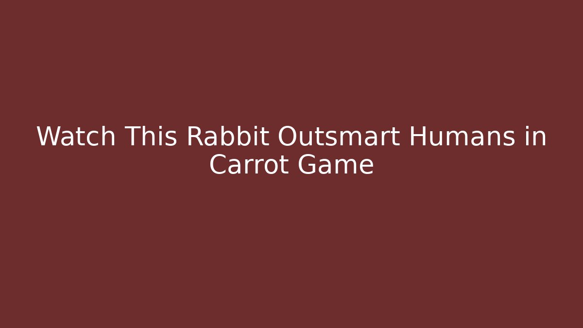 Watch This Rabbit Outsmart Humans in Carrot Game