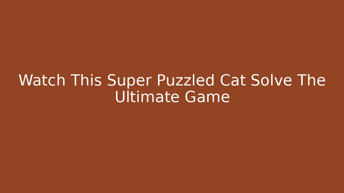 Watch This Super Puzzled Cat Solve The Ultimate Game - Create More Assets