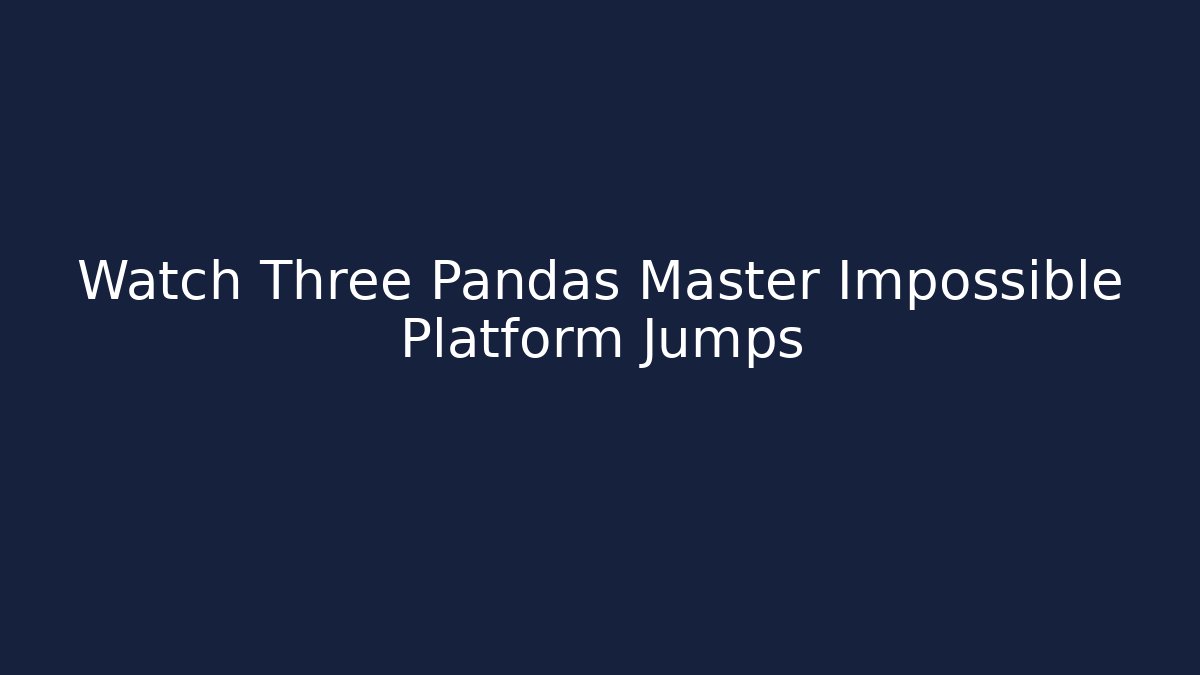 Watch Three Pandas Master Impossible Platform Jumps