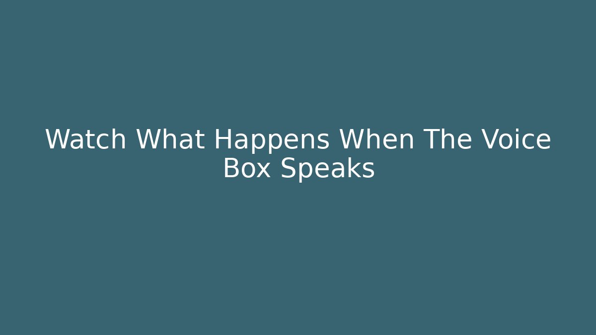 Watch What Happens When The Voice Box Speaks - Create More Assets