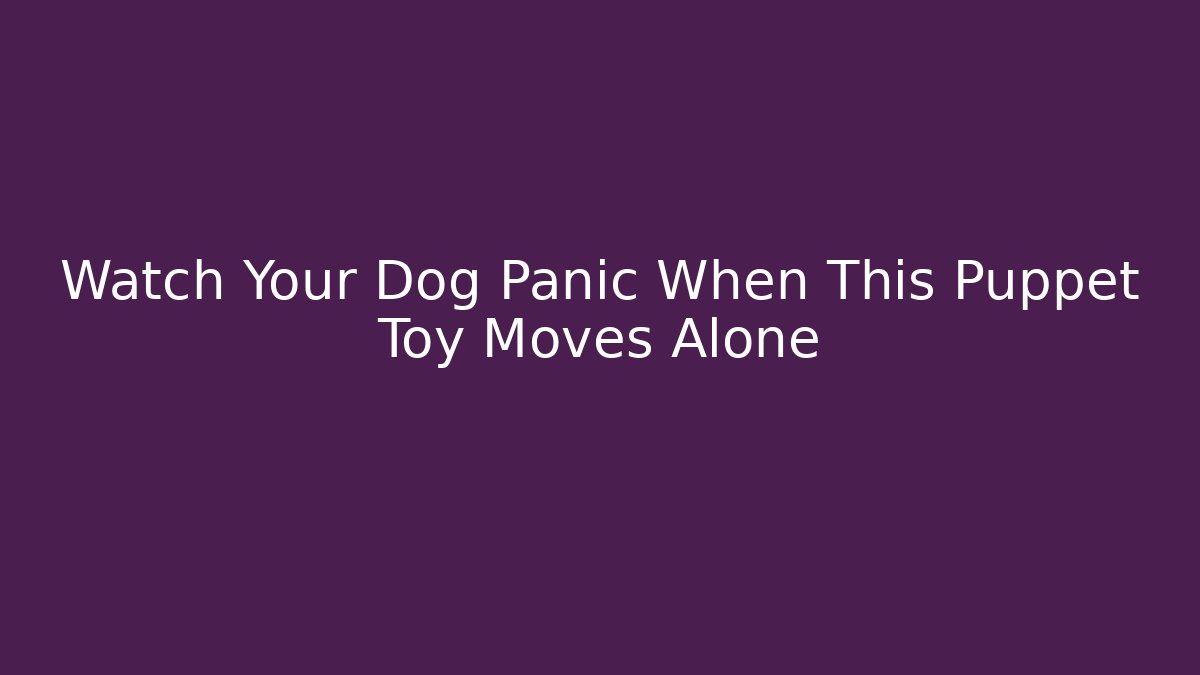 Watch Your Dog Panic When This Puppet Toy Moves Alone - Create More Assets