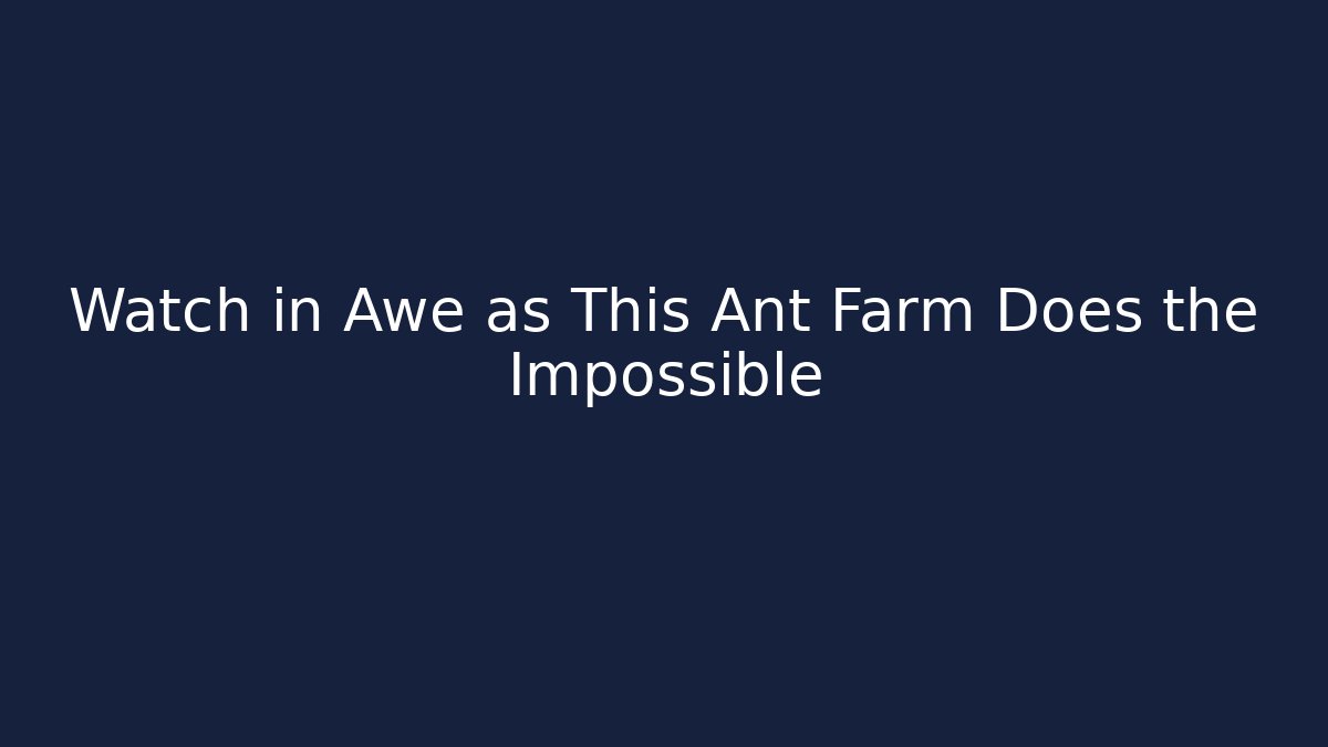 Watch in Awe as This Ant Farm Does the Impossible - Create More Assets