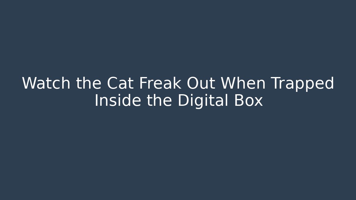 Watch the Cat Freak Out When Trapped Inside the Digital Box