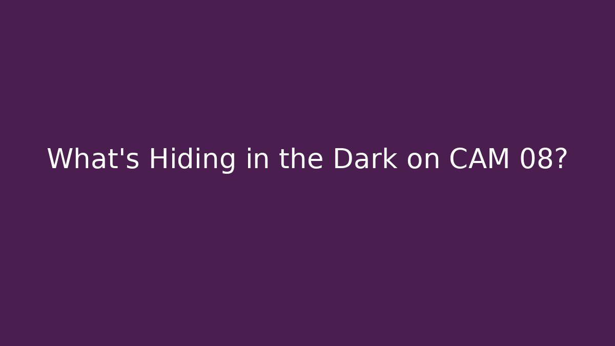 What's Hiding in the Dark on CAM 08? - Create More Assets