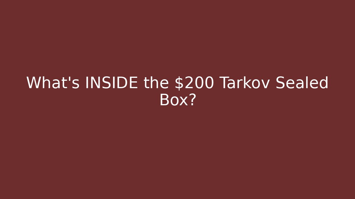 What's INSIDE the $200 Tarkov Sealed Box?