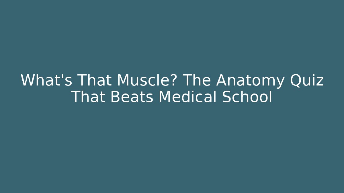 What's That Muscle? The Anatomy Quiz That Beats Medical School