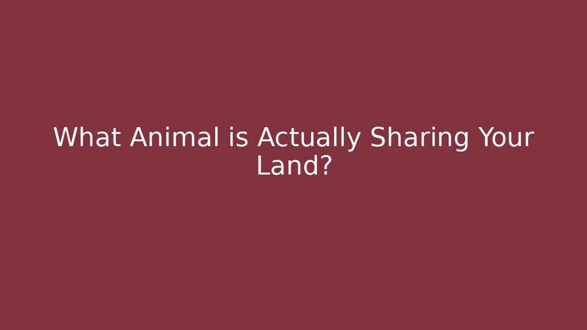 What Animal is Actually Sharing Your Land?